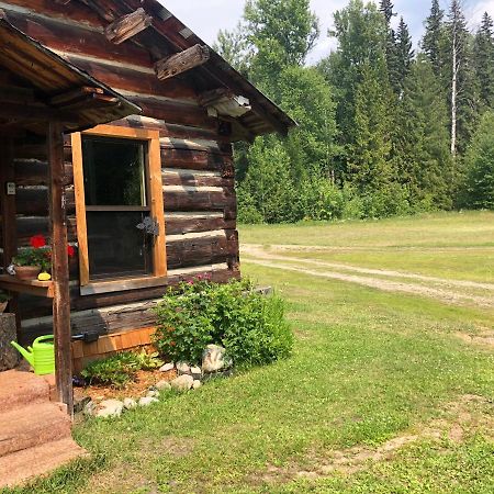 Mini-Mooh Cabin Clearwater Dış mekan fotoğraf