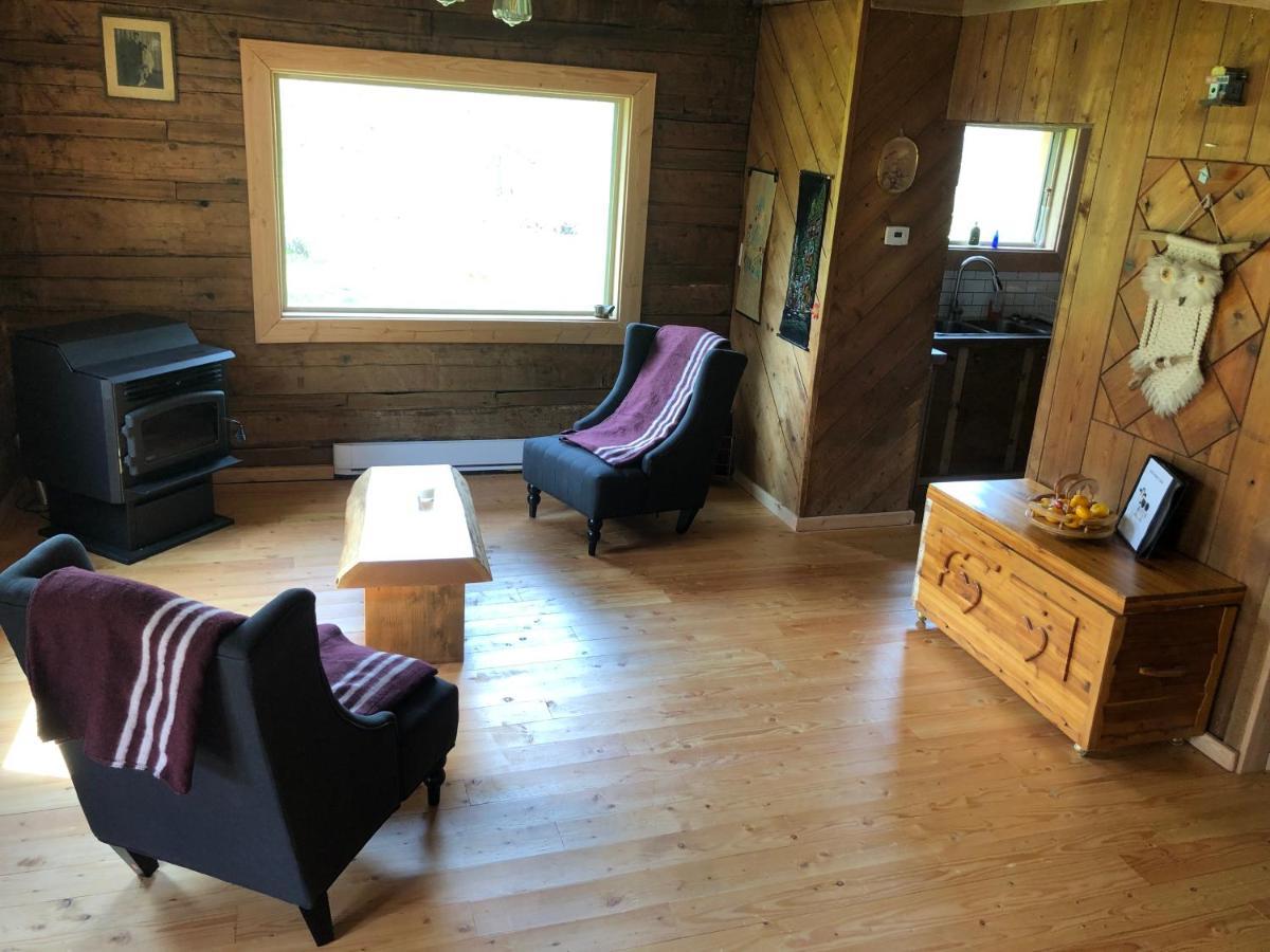 Mini-Mooh Cabin Clearwater Dış mekan fotoğraf